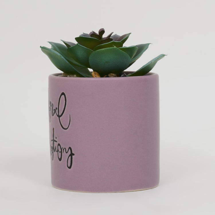 Garnet Garden Artificial Succulent in Ceramic Planter