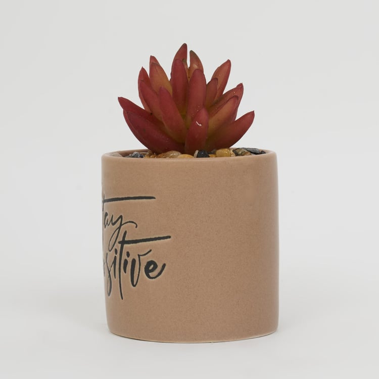 Garnet Garden Artificial Succulent in Ceramic Planter