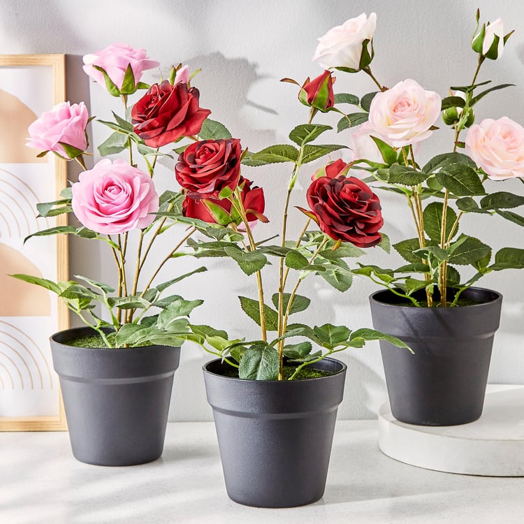 Gloria Artificial Rose Plant in Pot
