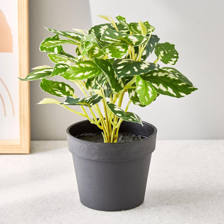 Garnet Garden Artificial Croton Plant in Pot