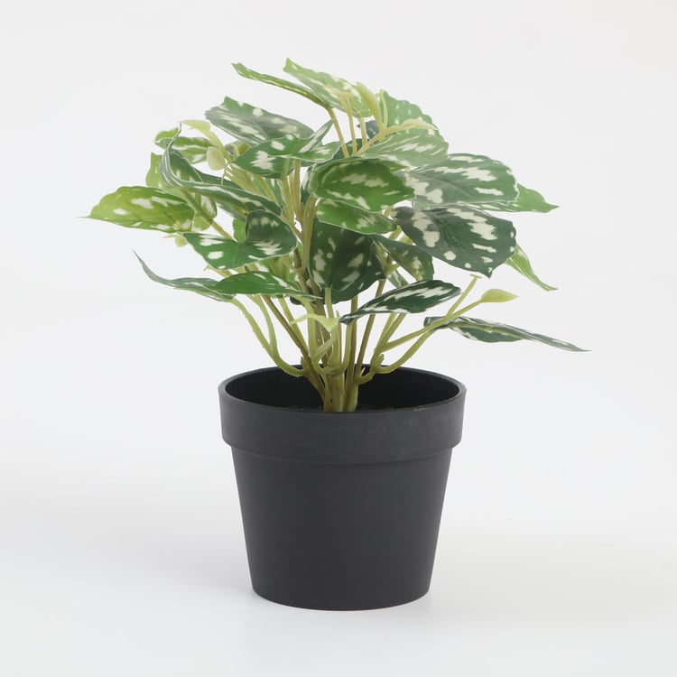 Garnet Garden Artificial Croton Plant in Pot