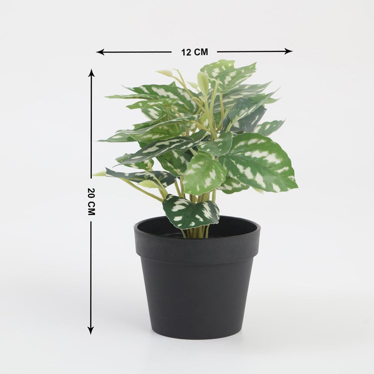 Garnet Garden Artificial Croton Plant in Pot