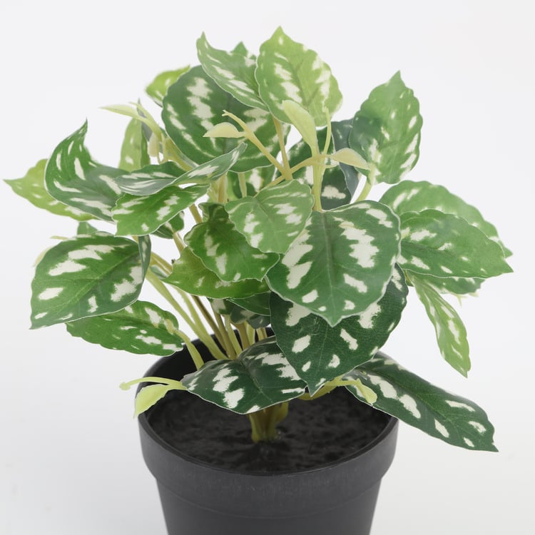 Garnet Garden Artificial Croton Plant in Pot