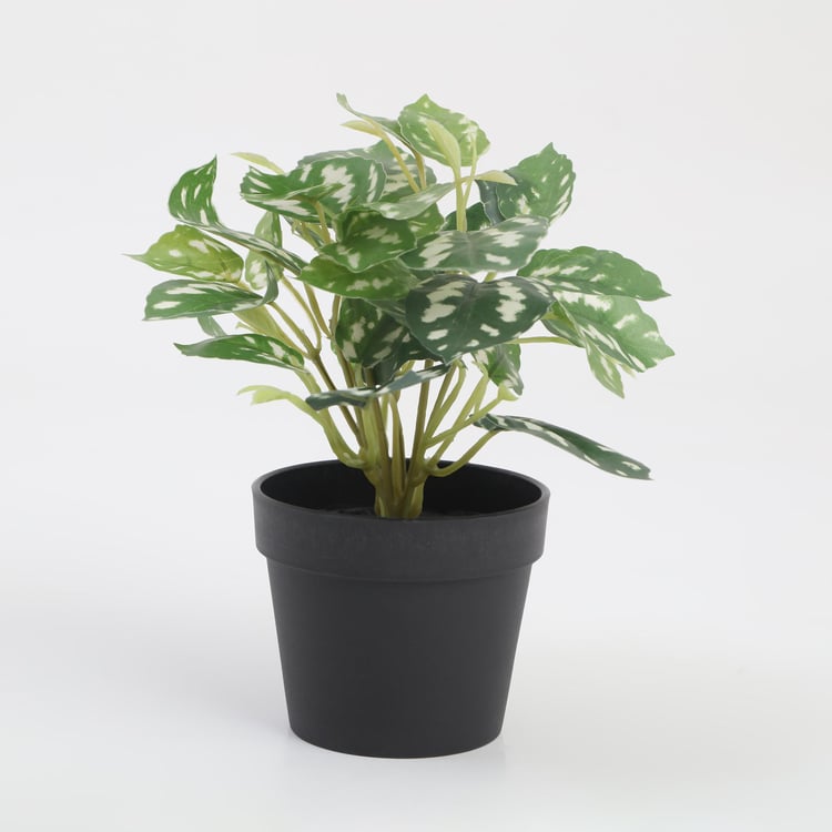 Garnet Garden Artificial Croton Plant in Pot
