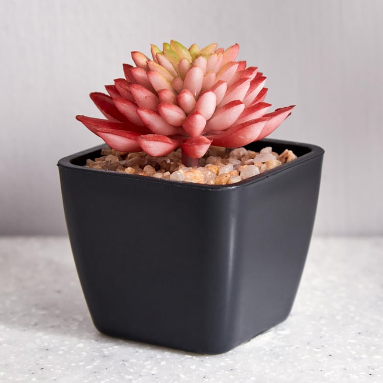Lets Garden Artificial Flaming Katty Succulent in Pot