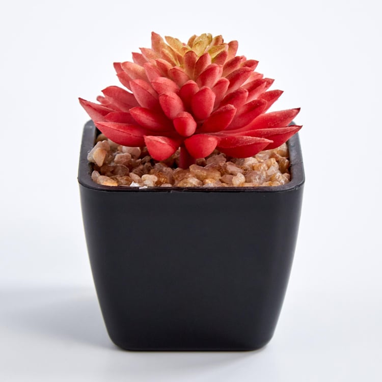Lets Garden Artificial Flaming Katty Succulent in Pot