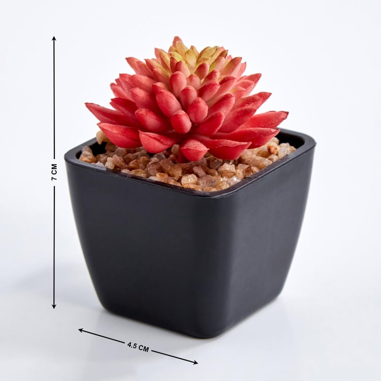 Lets Garden Artificial Flaming Katty Succulent in Pot
