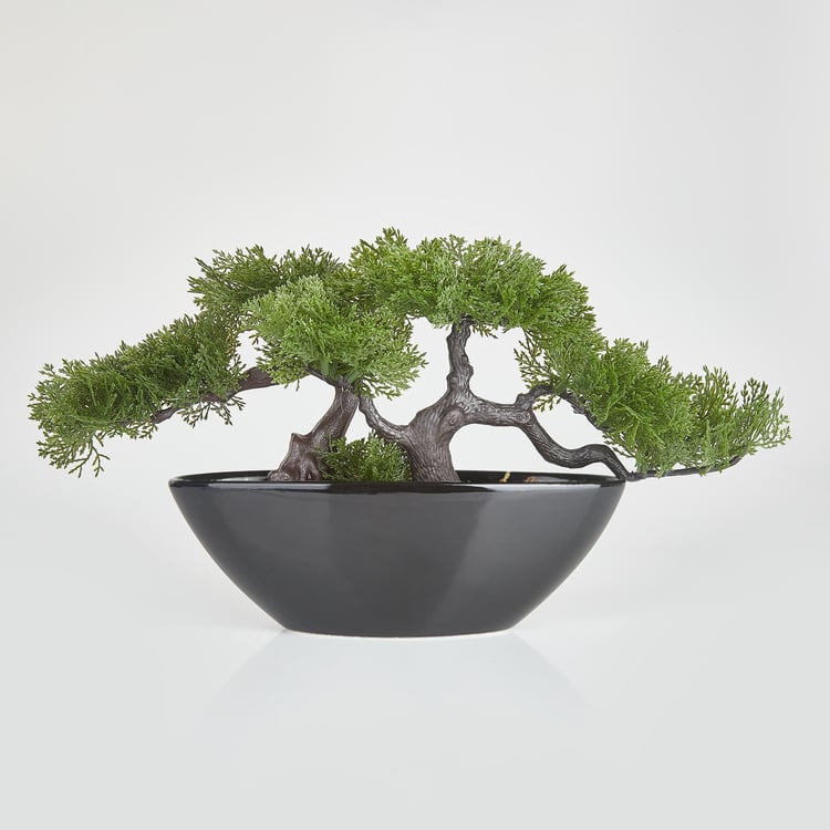 Gloria Alyssa Artificial Bonsai in Ceramic Pot