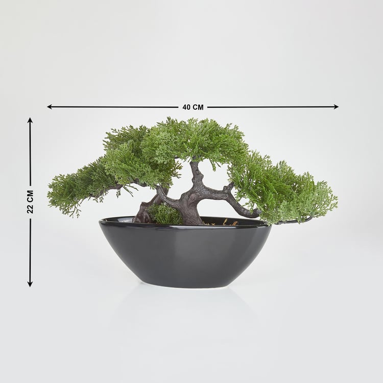 Gloria Alyssa Artificial Bonsai in Ceramic Pot