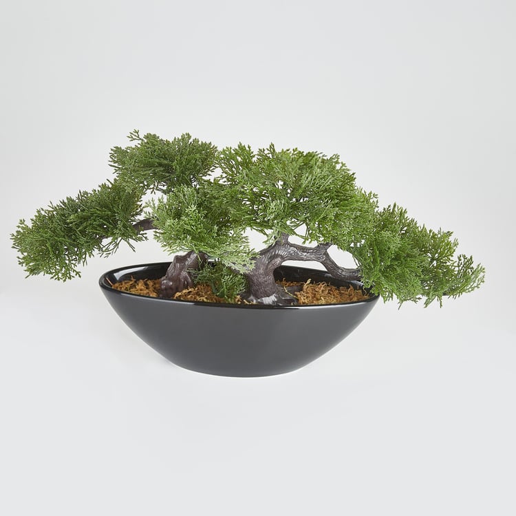 Gloria Alyssa Artificial Bonsai in Ceramic Pot