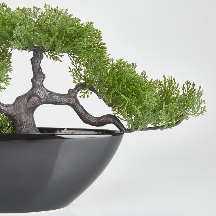 Gloria Alyssa Artificial Bonsai in Ceramic Pot