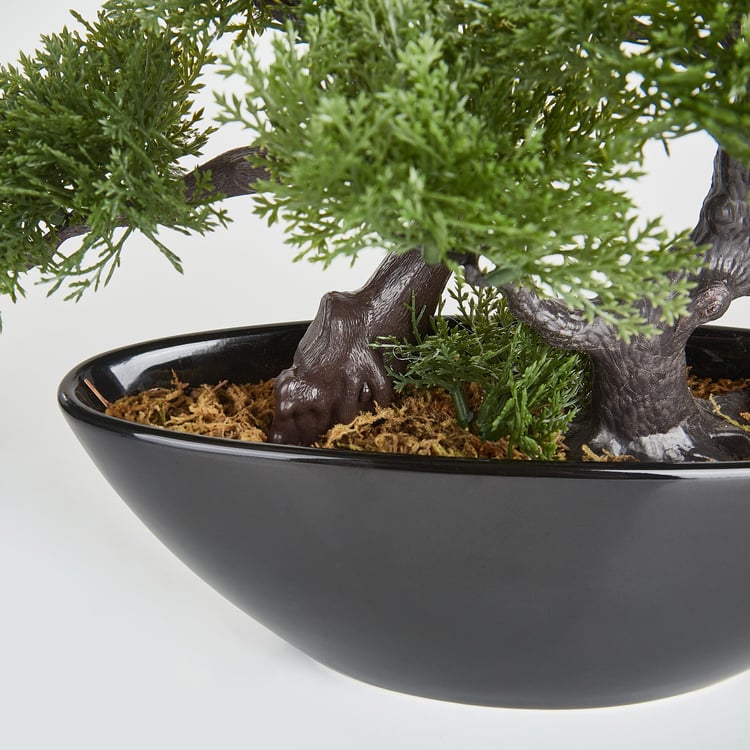 Gloria Alyssa Artificial Bonsai in Ceramic Pot