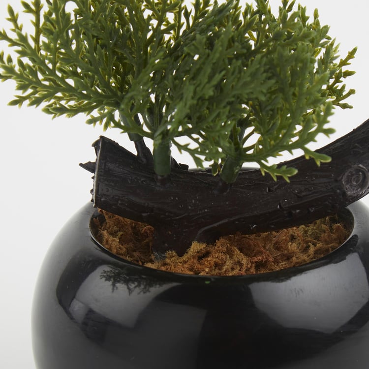 Gloria Artificial Bonsai in Ceramic Pot