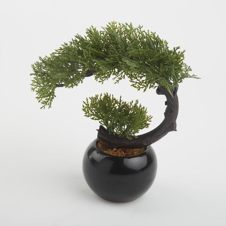 Gloria Artificial Bonsai in Ceramic Pot