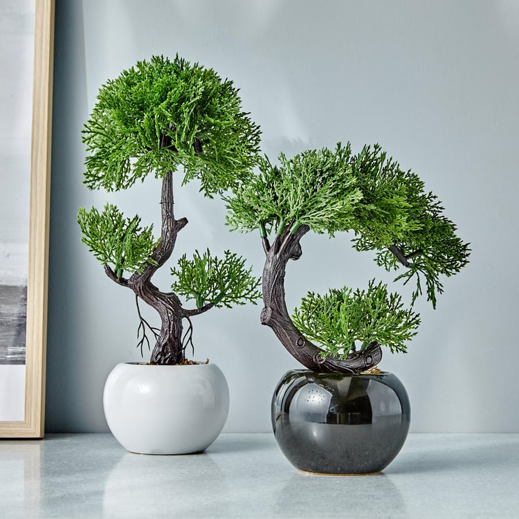 Gloria Artificial Shade Bonsai in Ceramic Pot