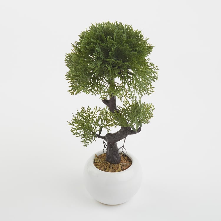 Gloria Artificial Shade Bonsai in Ceramic Pot