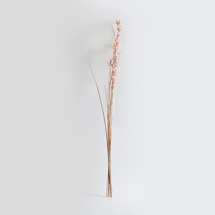 Botanical Dried Tishi Flowers - 85cm