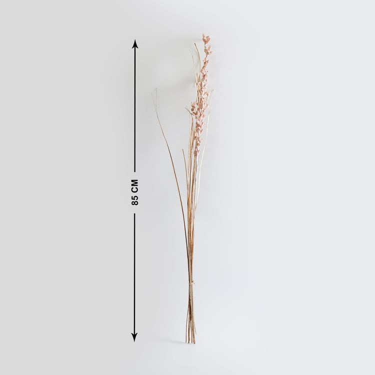 Botanical Dried Tishi Flowers - 85cm