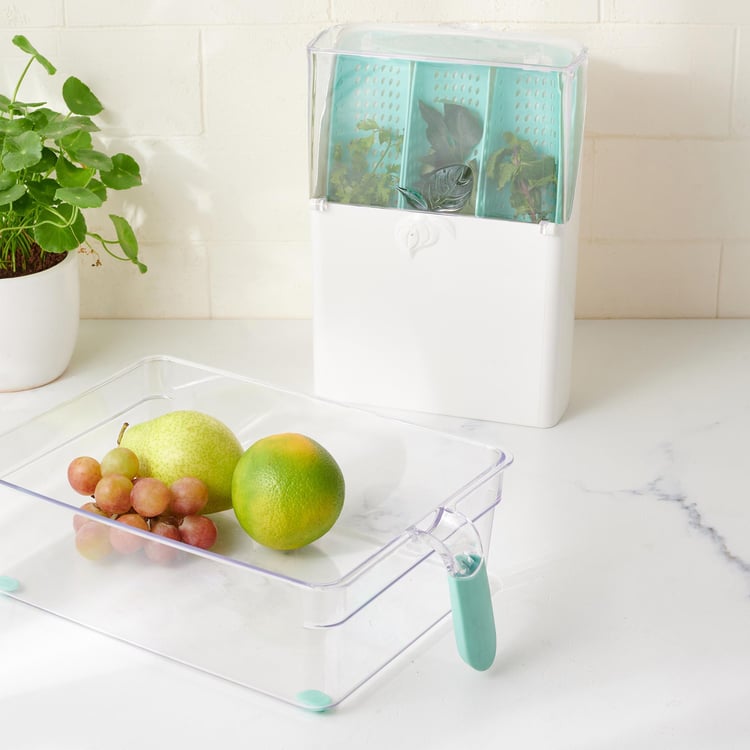 Orion Flavia Multi-Herb Fridge Storage Box