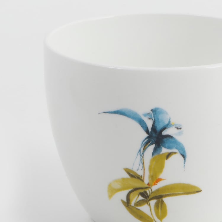 Buy Mandarin Botanica Set of Bone China Cups and Saucers 210ml