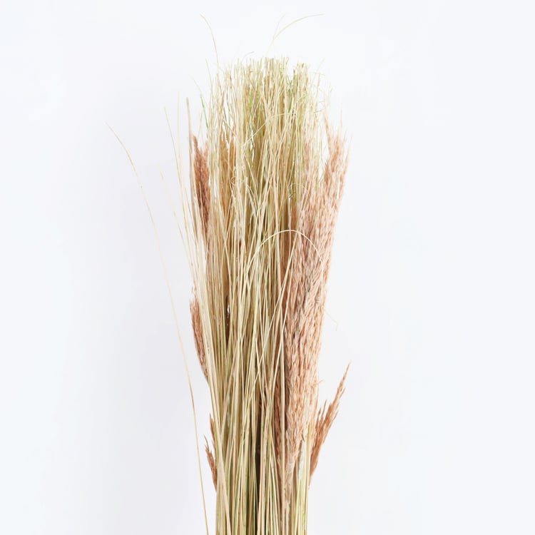 Dastkari Dried Ting Ting Grass Bunch - 94cm