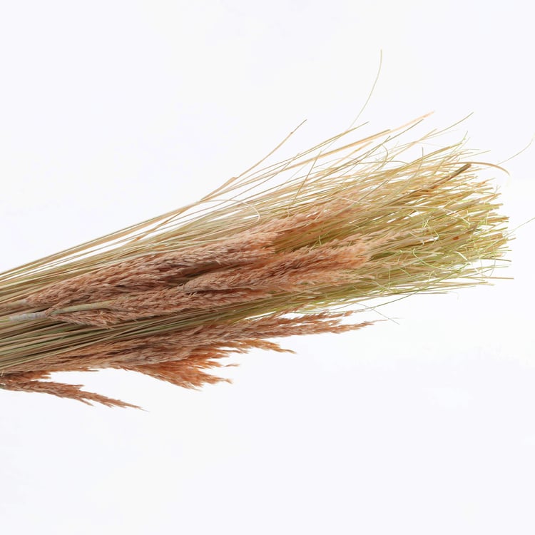 Dastkari Dried Ting Ting Grass Bunch - 94cm