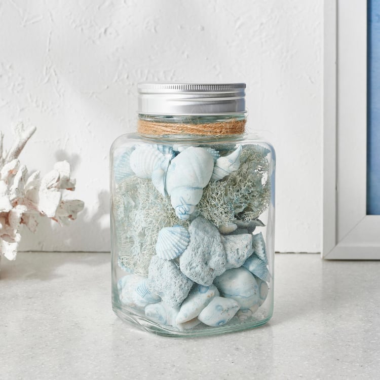 Splendid Santorini Decorative Sea Shell Jar