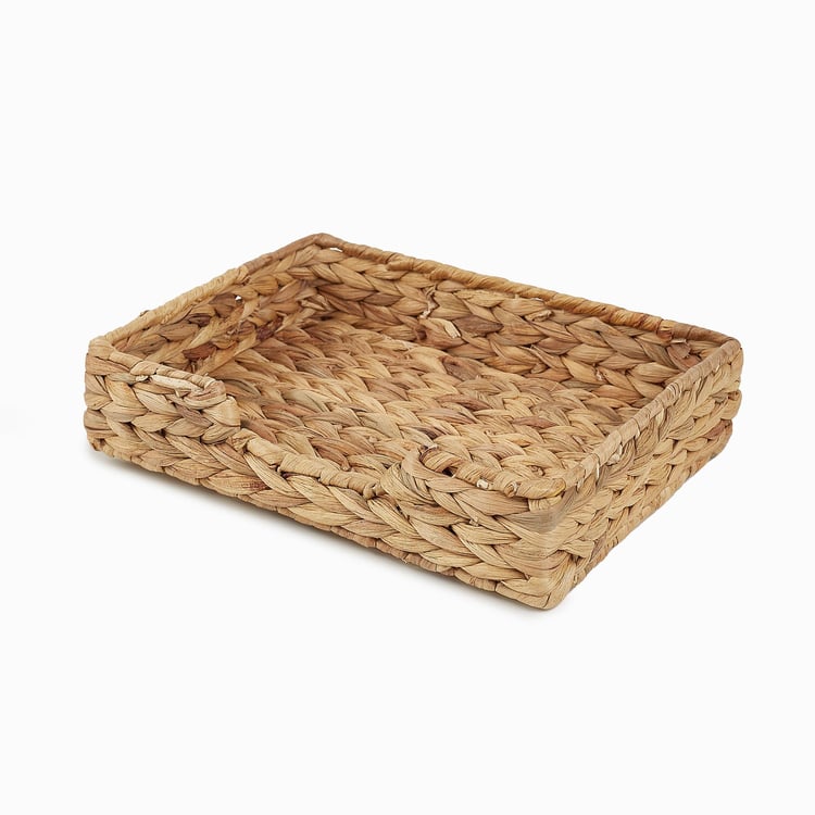 Regan Juvale Seagrass and Iron Storage Tray