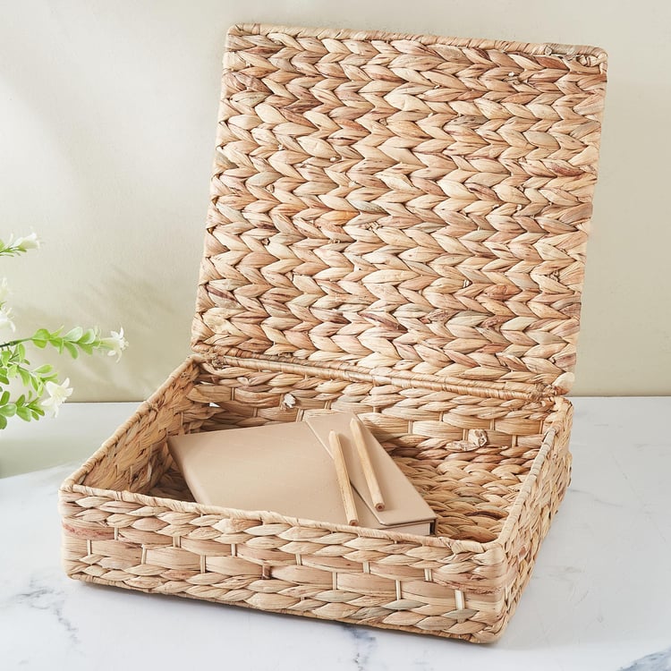 Regan Juvale Seagrass and Iron Storage Box