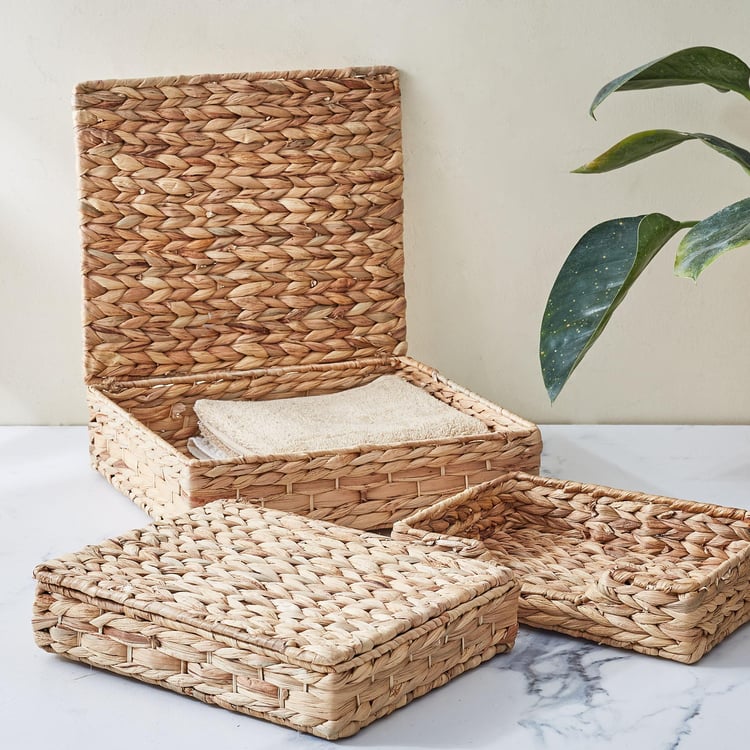 Regan Juvale Seagrass and Iron Storage Box