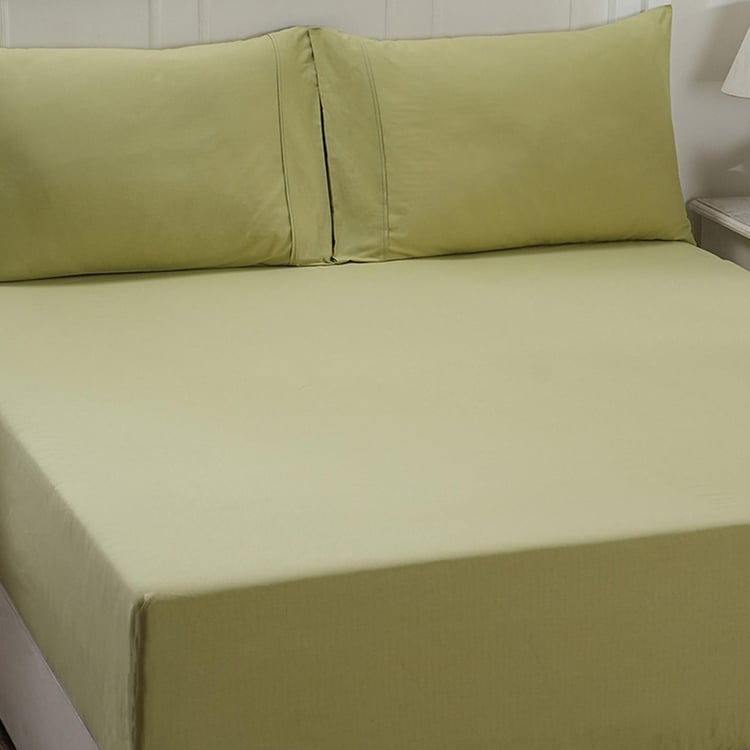 MASPAR Eden Cotton 144TC 3Pcs King Fitted Bedsheet Set