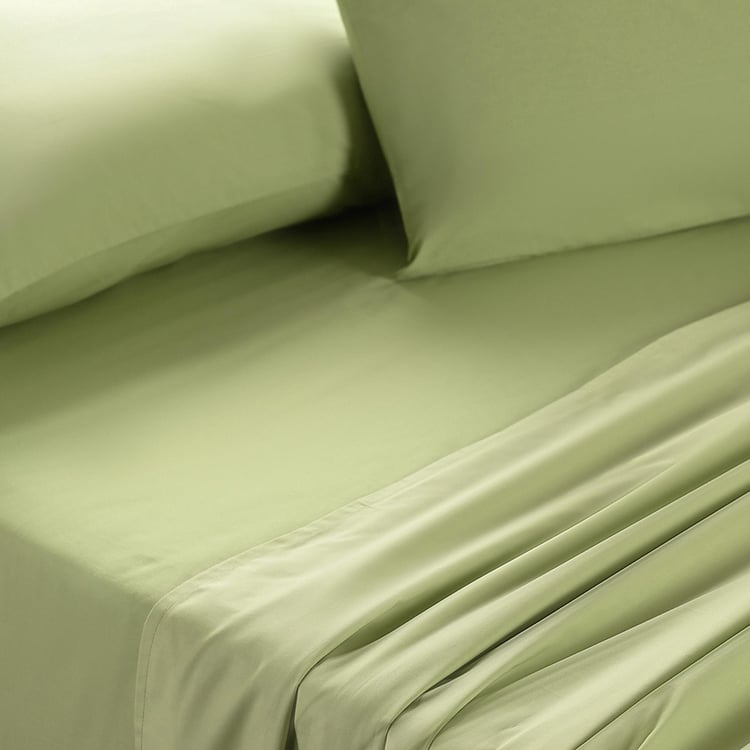 MASPAR Eden Cotton 144TC 3Pcs King Bedsheet Set