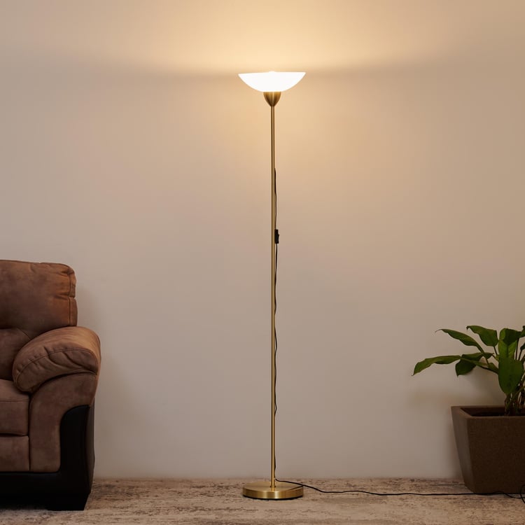 Fluorescence Glint Iron Floor Lamp with Glass Shade