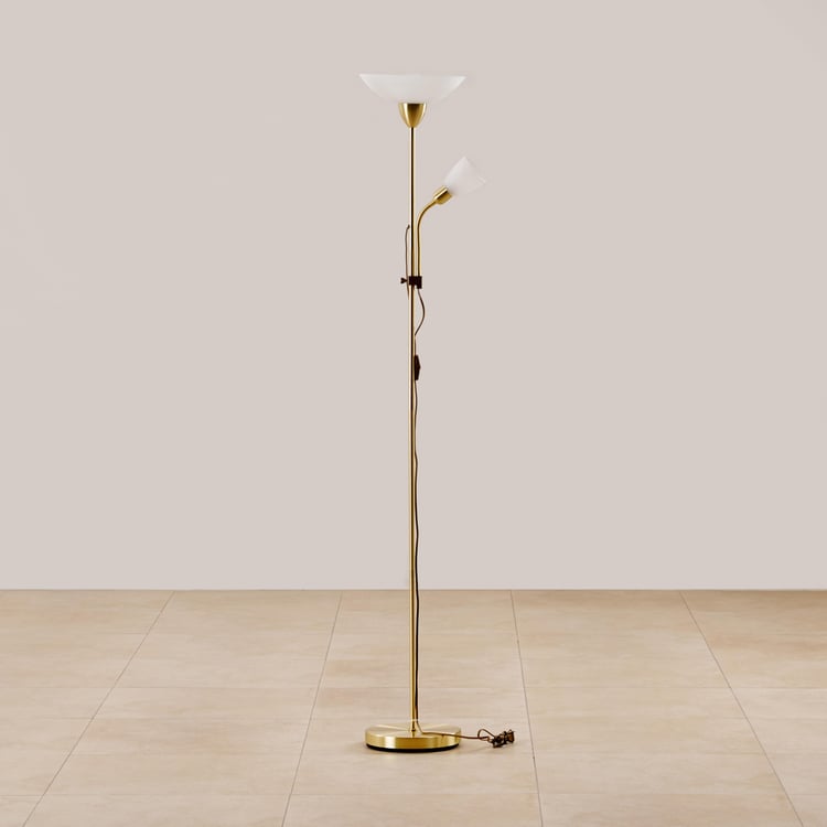 Fluorescence Glint Iron Floor Lamp with Shade