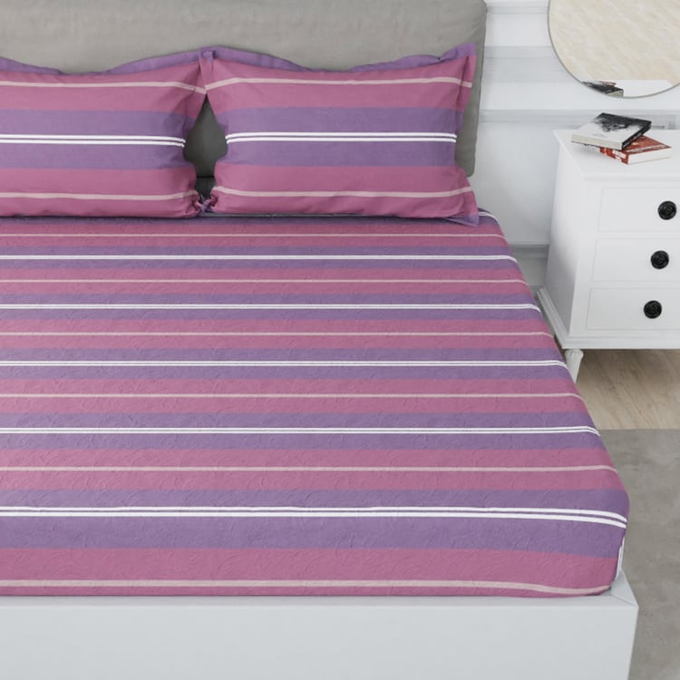 NAUTICA Hampton Cotton 210TC Striped 3Pcs King Bedsheet Set