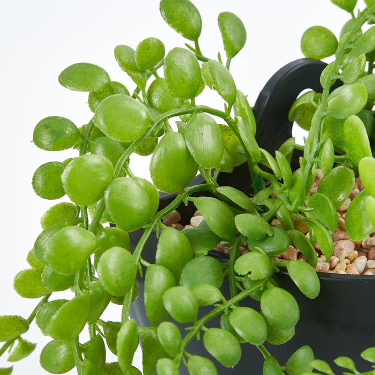 Gloria Artificial Hanging Creepers in Pot