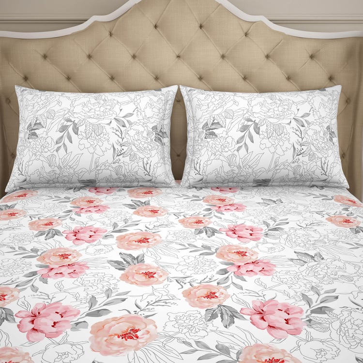 SPACES Adonia Cotton 144TC Printed 3Pcs Queen Bedsheet Set