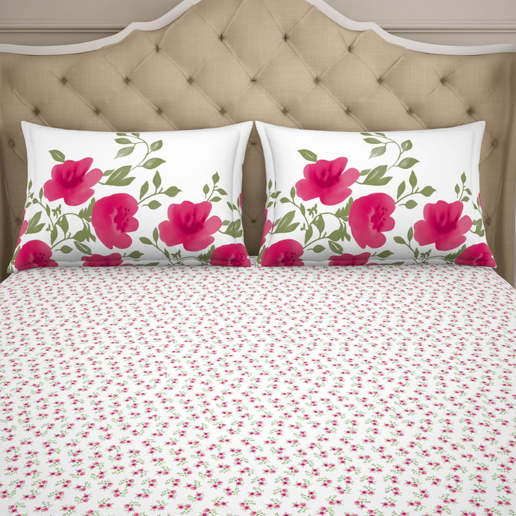 SPACES Adonia Cotton 144TC Printed 3Pcs Super King Bedsheet Set