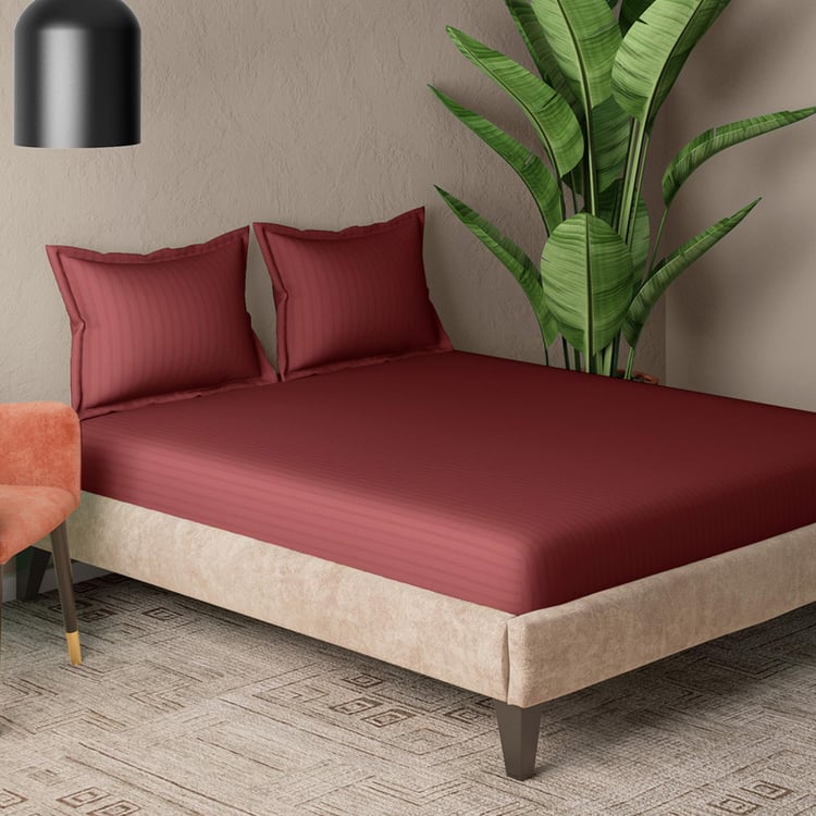 CANNON Broadway Cotton 300TC Striped 3Pcs Queen Bedsheet Set