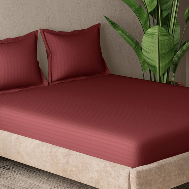 CANNON Broadway Cotton 300TC Striped 3Pcs Queen Bedsheet Set