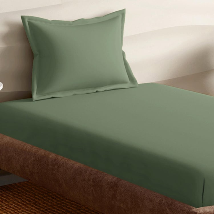 PORTICO Satin Premium Cotton 250TC 2Pcs Single Bedsheet Set