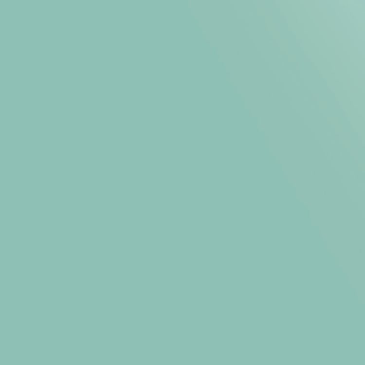 PORTICO Satin Premium Cotton 250TC 2Pcs Single Bedsheet Set