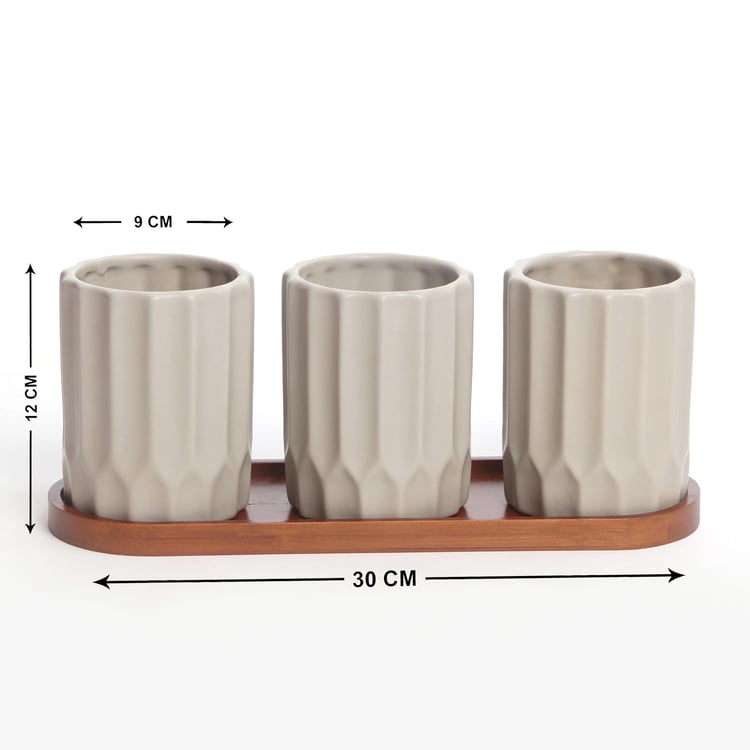 Gloria Set of 3 Ceramic Planters with Tray