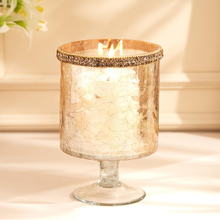 Maya Tevis Glass Crackle Hurricane Candle Holder