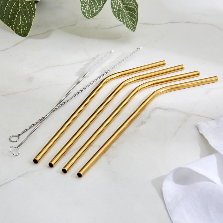 Wexford Oregon 6Pcs Stainless Steel Straw Set