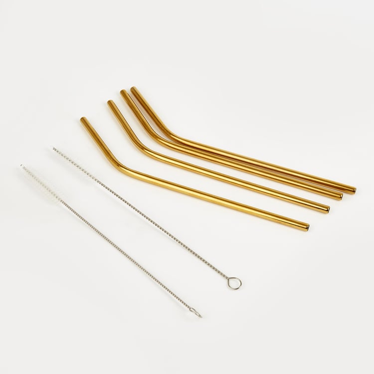 Wexford Oregon 6Pcs Stainless Steel Straw Set