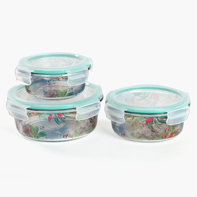 INDIA CIRCUS Tropical View  Set of 3 Glass Containers