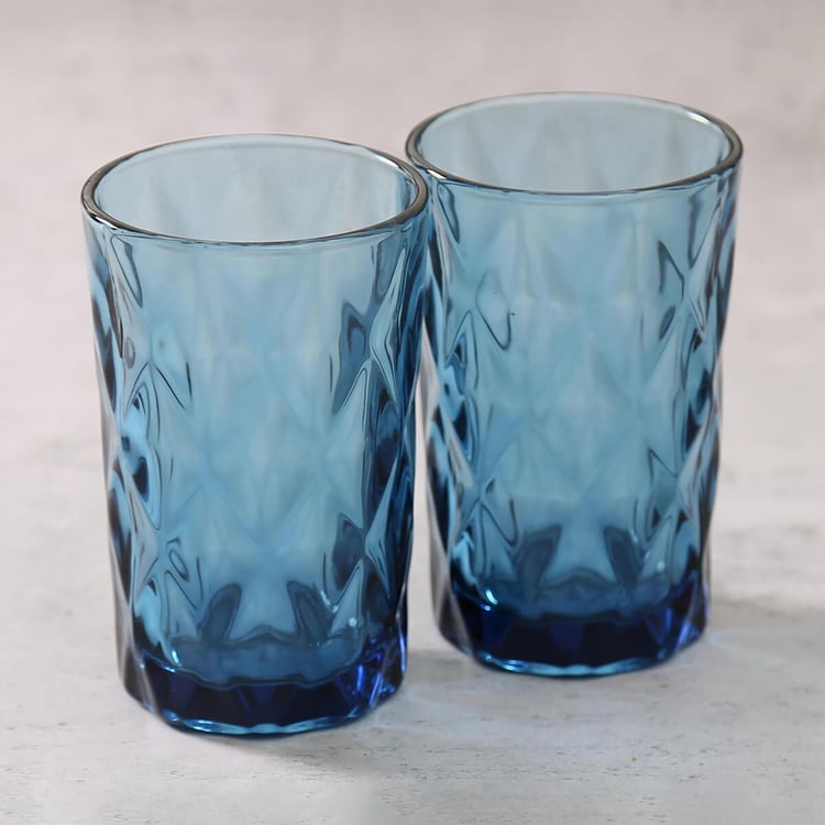 INDIA CIRCUS Embossed Set of 2 Glasses - 350ml