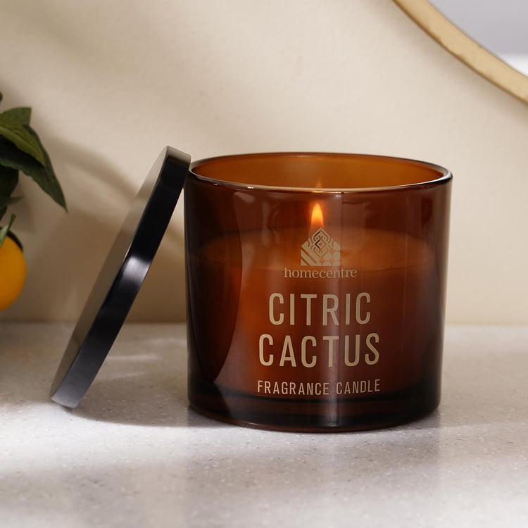 Enchanted Citrus Cactus Scented Jar Candle