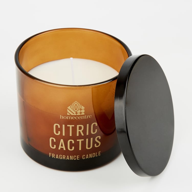 Enchanted Citrus Cactus Scented Jar Candle